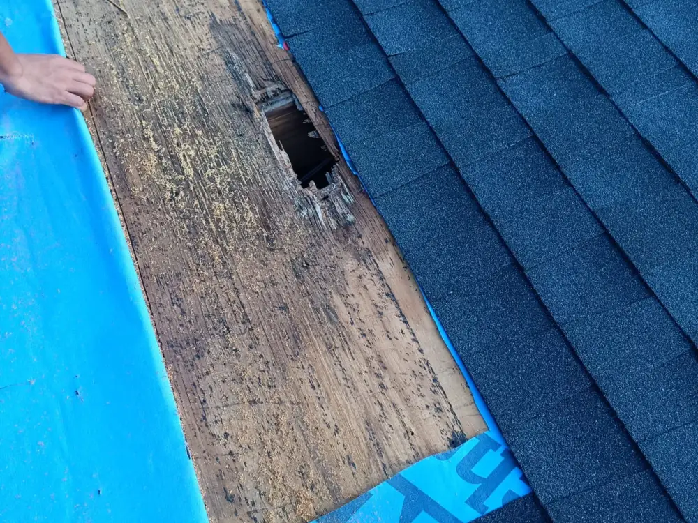 Rotted roof decking exposed where the shingles were removed